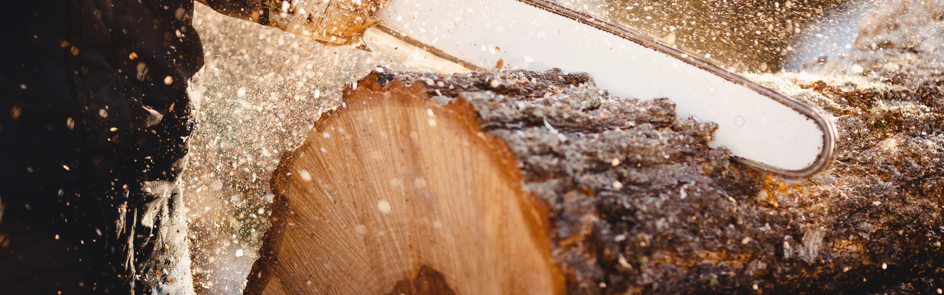 hero tree removal service temple pa