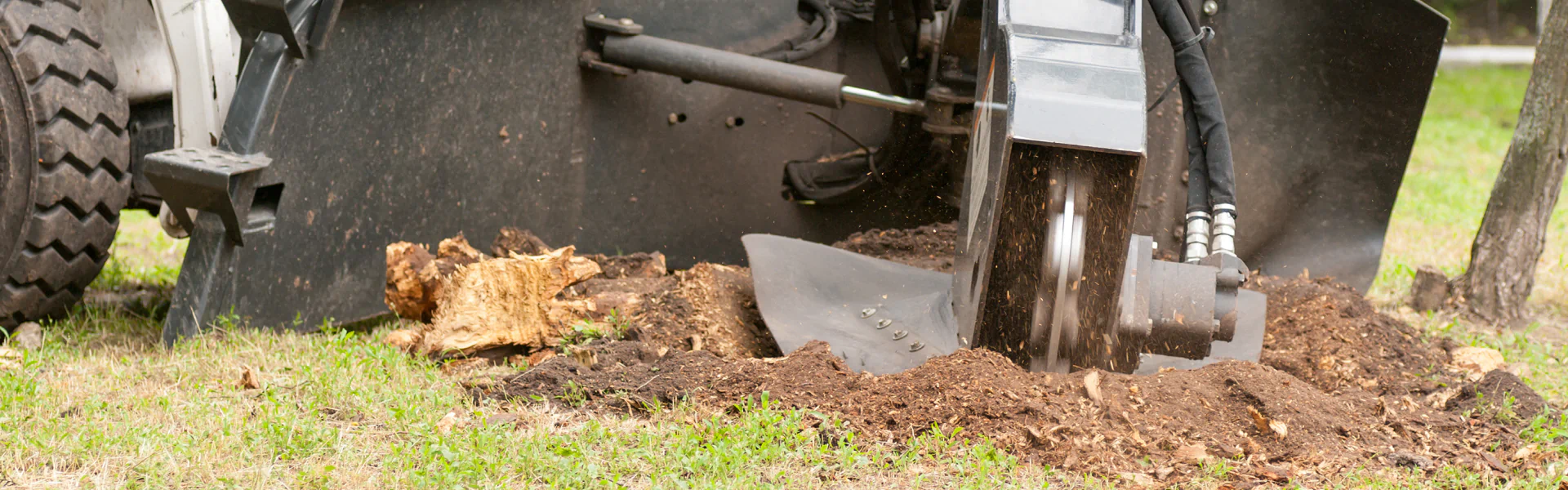 hero tree stump grinding service temple pa